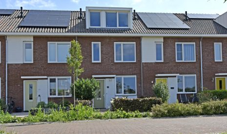 koop  Noorden  Meerkoet 31 – Hoofdfoto