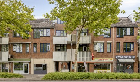 koop  Alphen aan den Rijn  Stuifzwam 60 – Hoofdfoto