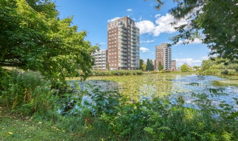 koop  Leiderdorp  Roodborststraat 10 – Hoofdfoto